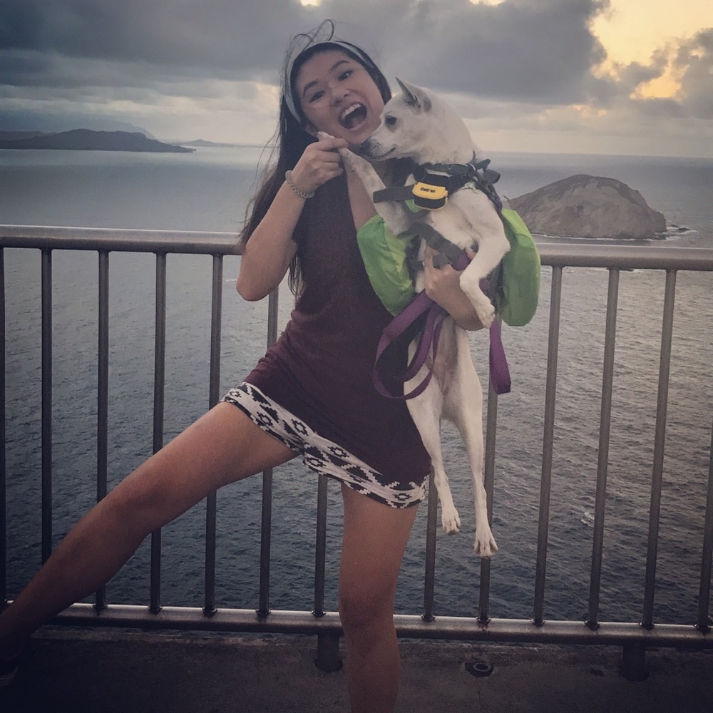 Meet your Posher, Hua lin